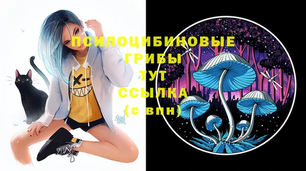 не бодяженный Володарск