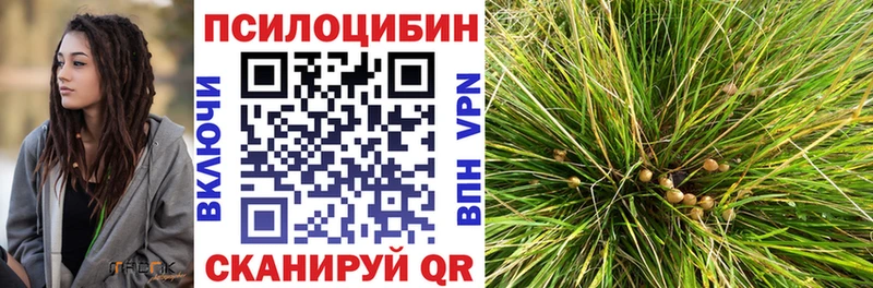 Галлюциногенные грибы ЛСД omg маркетплейс Володарск